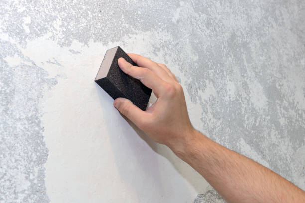 Best Asbestos and Lead Testing During Mold Inspection  in Adelphi, MD