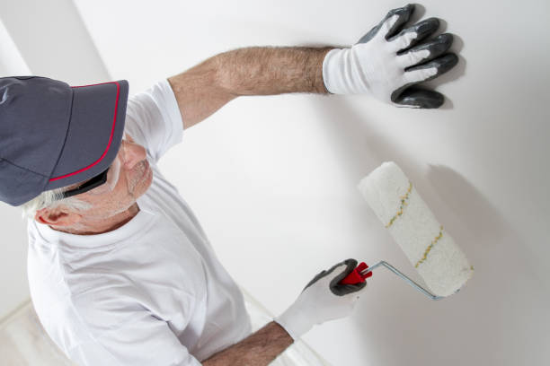 Environmental Consulting for Mold Prevention in Adelphi, MD