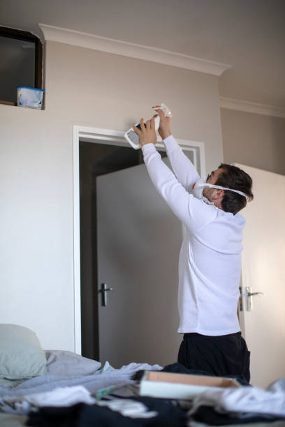 Best Environmental Consulting for Mold Prevention  in Adelphi, MD