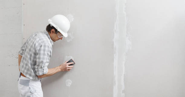 Best Crawl Space Mold Remediation  in Adelphi, MD