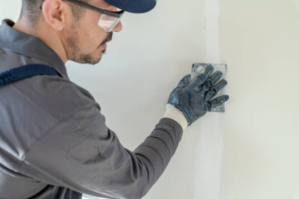 Best Basement Mold Removal  in Adelphi, MD