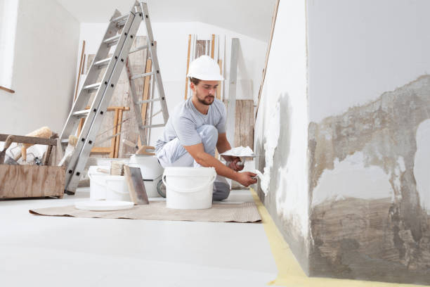 Best Black Mold Removal  in Adelphi, MD