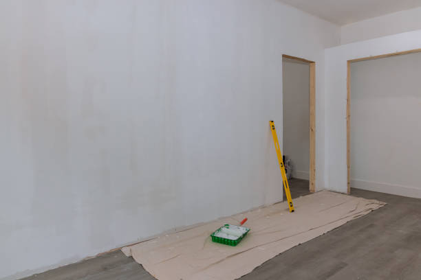 Best Mold Removal for HVAC Installations  in Adelphi, MD