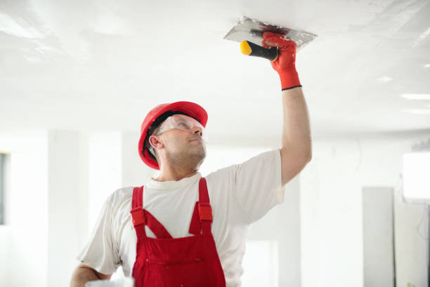 Best Emergency Mold Remediation  in Adelphi, MD