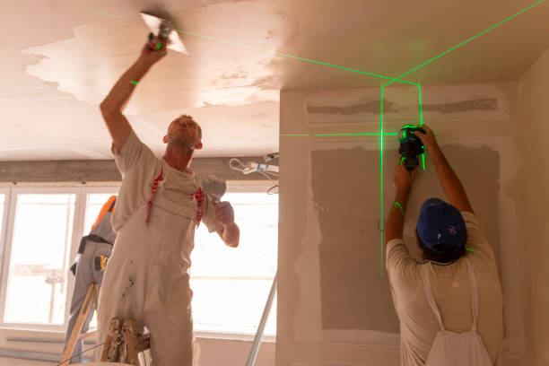Best Mold Remediation for Healthcare Facilities  in Adelphi, MD