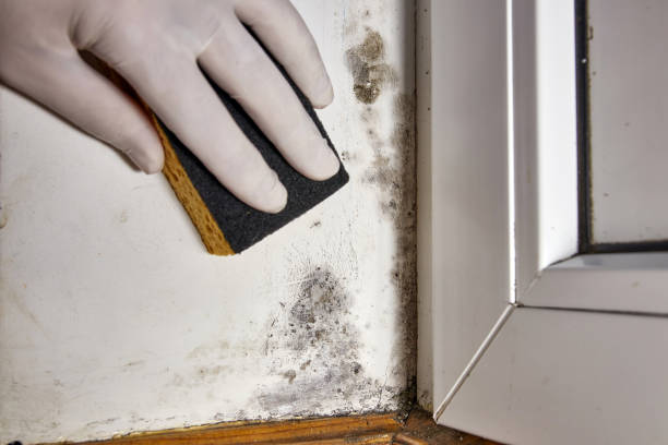 Best Post-Remediation Verification Testing  in Adelphi, MD