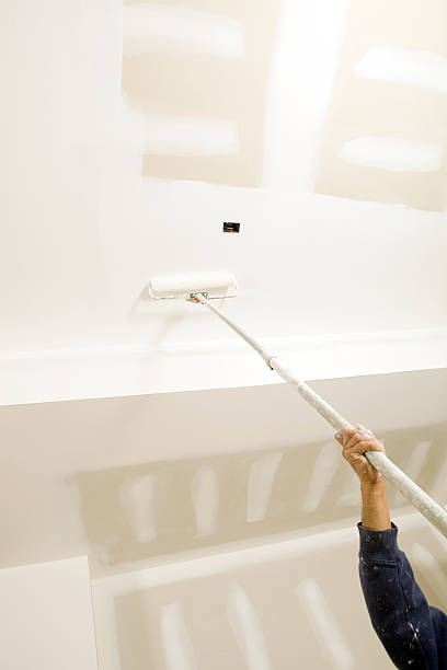 Best Industrial Mold Remediation  in Adelphi, MD