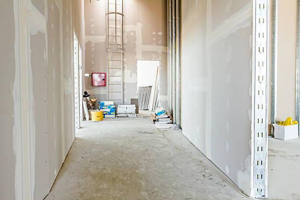 Best Mold Documentation for Insurance Claims  in Adelphi, MD