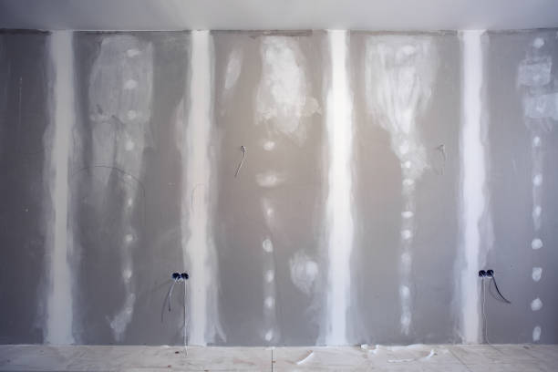 Best Residential Mold Inspection & Testing  in Adelphi, MD