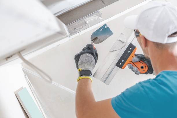 Best Attic Mold Removal  in Adelphi, MD